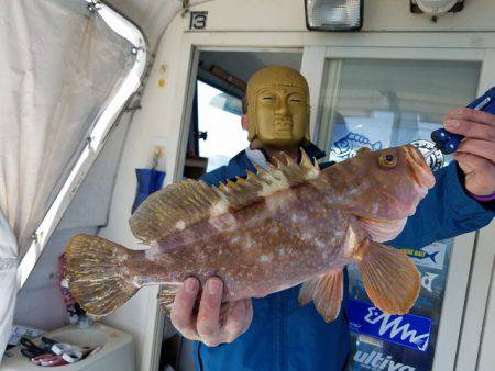 遊漁船 ニライカナイ 釣果