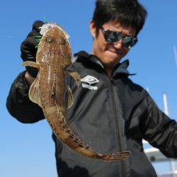 へいみつ丸 釣果