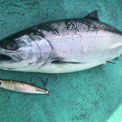 広進丸 釣果