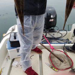 Magic(マジック) 釣果