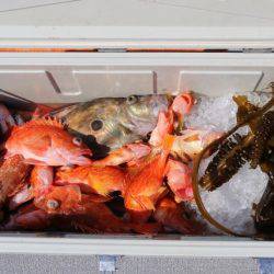 へいみつ丸 釣果