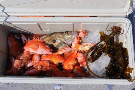 へいみつ丸 釣果