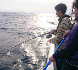 IDATEN（イダテン） 釣果