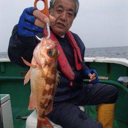 第二むつ漁丸 釣果