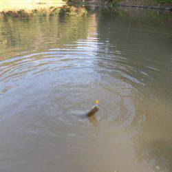 OLAHO　FISHING SPOT 釣果