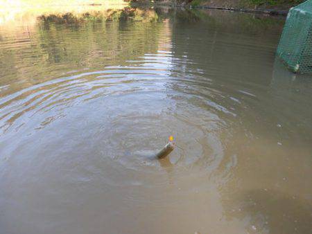 OLAHO　FISHING SPOT 釣果…