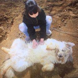 OLAHO　FISHING SPOT 釣果