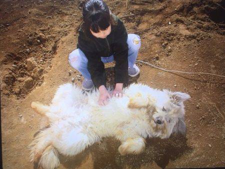 OLAHO　FISHING SPOT 釣果