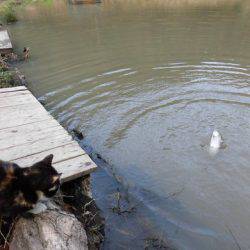 OLAHO　FISHING SPOT 釣果