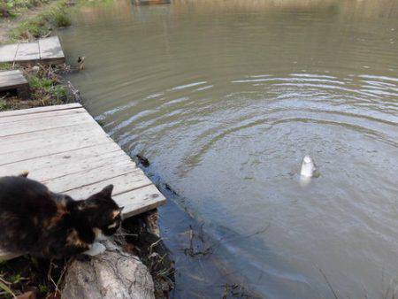 OLAHO　FISHING SPOT 釣果