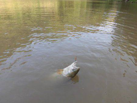 OLAHO　FISHING SPOT 釣果…