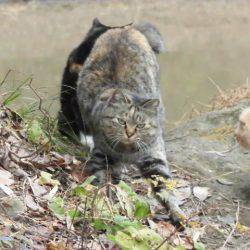 OLAHO FISHING SPOT 釣果