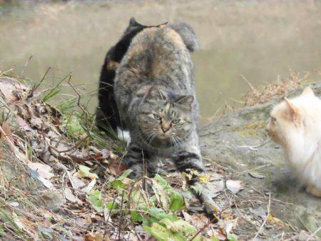OLAHO FISHING SPOT 釣果