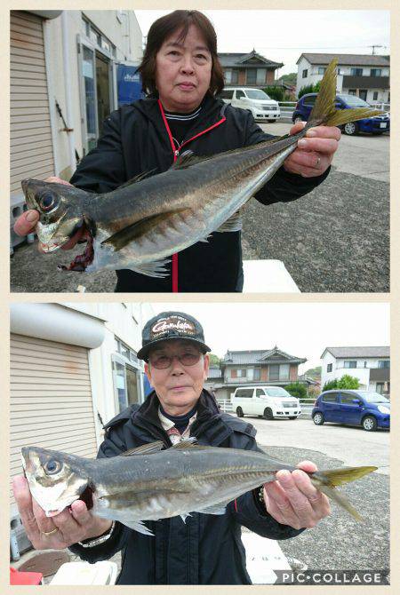 桑田観光 釣果