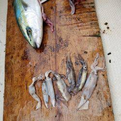 遊漁船 ニライカナイ 釣果