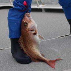 へいみつ丸 釣果