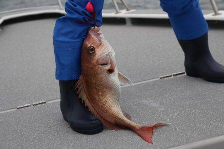 へいみつ丸 釣果