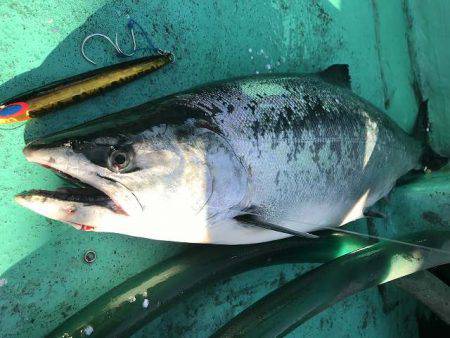 広進丸 釣果