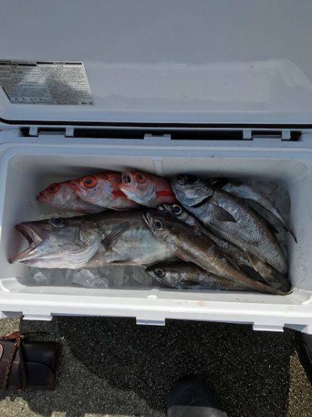 へいみつ丸 釣果