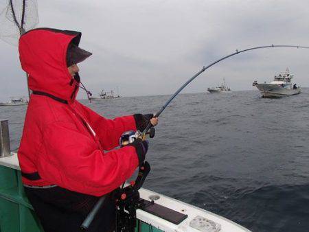 第二むつ漁丸 釣果