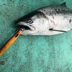 広進丸 釣果
