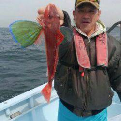 東京湾探釣隊ぼっち 釣果