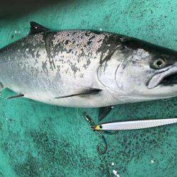 広進丸 釣果