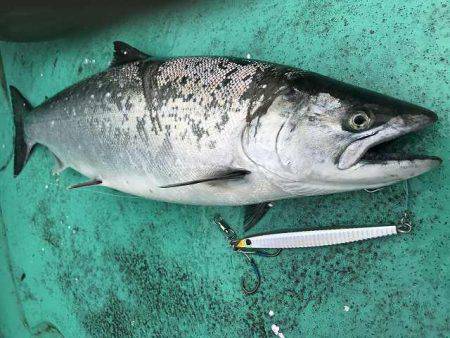 広進丸 釣果