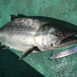 広進丸 釣果