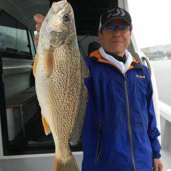 ミタチ丸 釣果