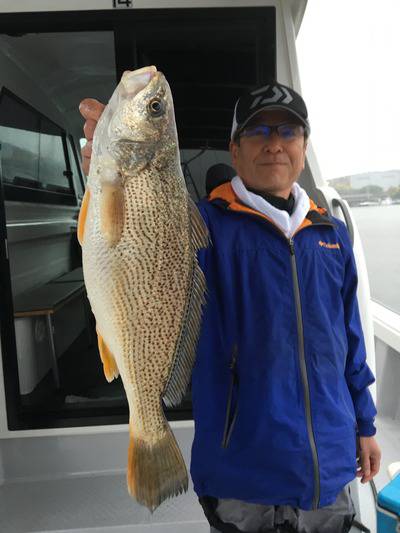 ミタチ丸 釣果