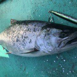 広進丸 釣果