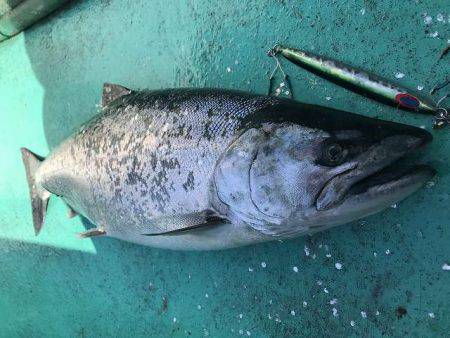 広進丸 釣果