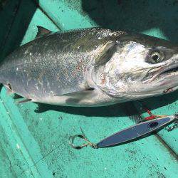 広進丸 釣果