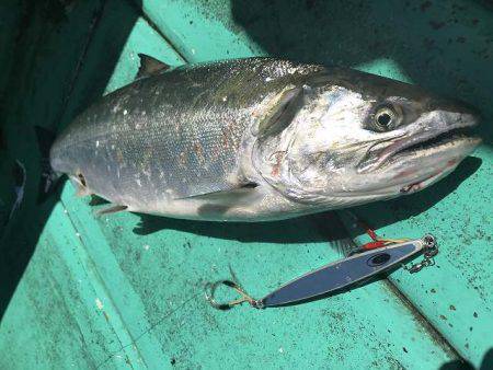 広進丸 釣果