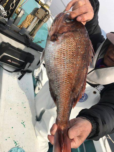さとみ丸 釣果