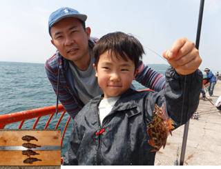 平磯海づり公園　釣果