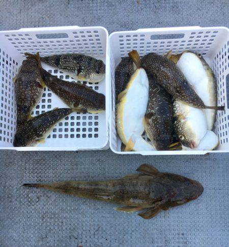 さんさん丸 釣果