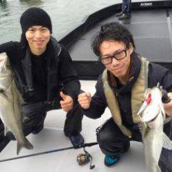 シーマジカル 釣果