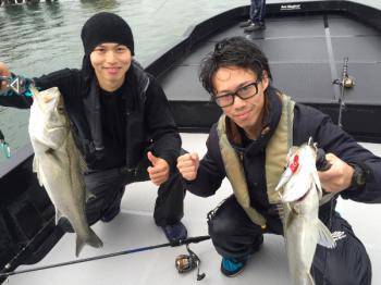 シーマジカル 釣果