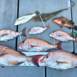 さんさん丸 釣果