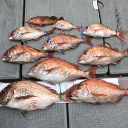 さんさん丸 釣果