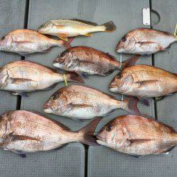 さんさん丸 釣果