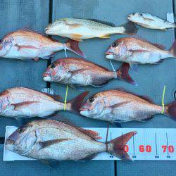 さんさん丸 釣果