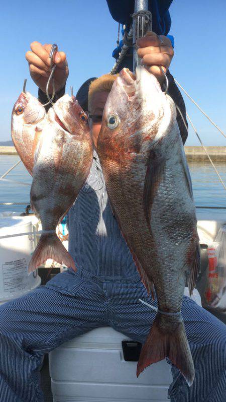 さんさん丸 釣果