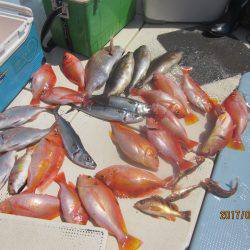 第十八吉栄丸 釣果