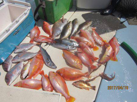 第十八吉栄丸 釣果