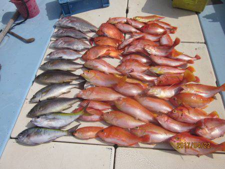 第十八吉栄丸 釣果