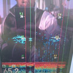 遊漁船ブルーウッズ 釣果