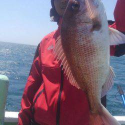 遊漁船 新鋭丸 釣果